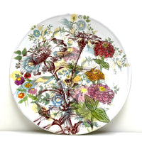 Zinnia dinner plate