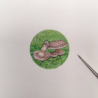 Mushroom Series Miniature Painting of Scaly Hedgehog by Brooke Rothshank